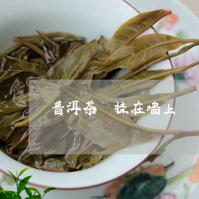 普洱茶 挂在墙上/2023041013056